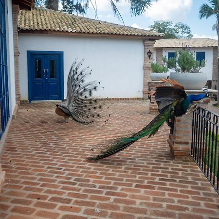 Hotel Fazenda Sao Silvano Morungaba Esterno foto