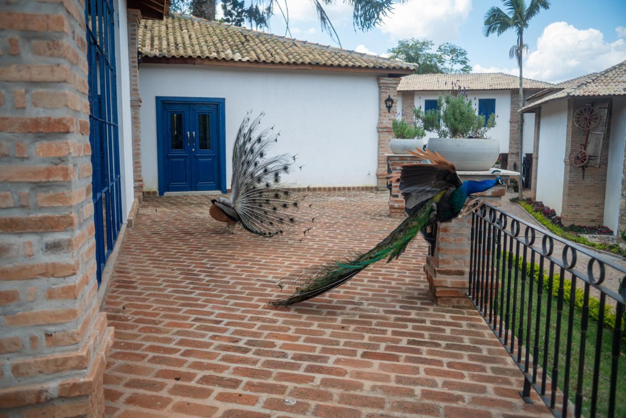 Hotel Fazenda Sao Silvano Morungaba Esterno foto